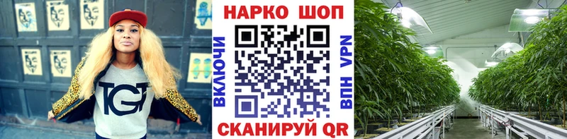 Купить Гашиш  Alpha-PVP  МЕФ  Героин  ТГК  Каннабис  Заинск