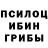 Псилоцибиновые грибы MAGIC MUSHROOMS VadiM SG