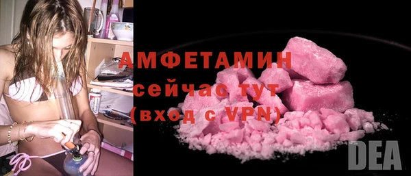 ECSTASY Гусь-Хрустальный