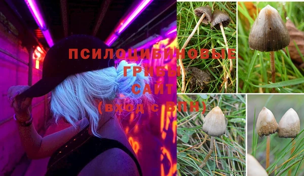 дмт Дмитриев