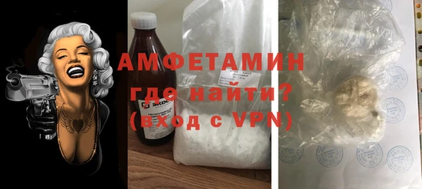 ECSTASY Гусь-Хрустальный