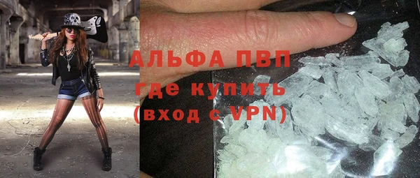 СК Гусев