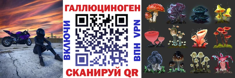 Псилоцибиновые грибы MAGIC MUSHROOMS  Купить где  Заинск 